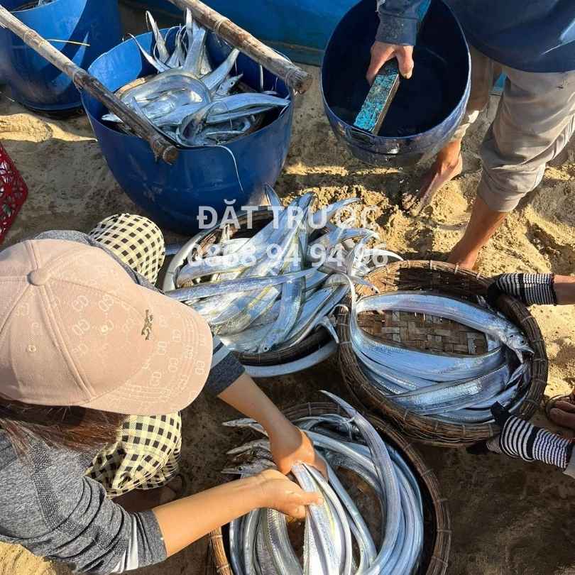 Cá hố tươi sạch giá rẻ